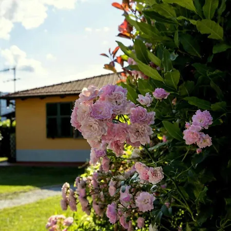Belvilla By Oyo Montebello Mono C Holiday home *